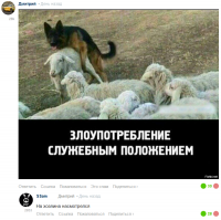Это должен увидеть каждый: 15 фото животных, сделанных в идеальный момент