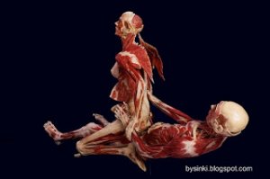 Продам трупы. Недорого.
Великий Франкенштейн современности, Гюнтер фон Хагенс, прославившийся своим мастерством делать чучела из людей снова откровенно издевается над моралью. 
Теперь чокнутый профессор решил открыть Интернет-лавку своих творений. Вниманию покупателей представлены легкие с раковой опухолью, голова без мозга, кусок руки и другие ошметки человеческих тел. Так что если вы решили кардинально изменить приевшийся интерьер своей гостиной или кухни   можете что-нибудь подобрать. 
Если вы богатенький Буратинко, можете себе позволить приобрести целый труп   он обойдется где-то тысяч в 70-75, или даже купить композицию из нескольких жмуриков. Ну, а для простых рабочих, которым такие декорации не по карману, есть бюджетные предложения   голова за 22 тыс. у.е., кусок руки за 15 тыс. или мозг за 12 тысяч. Нельзя сказать, что покупка трупов   абсурдное вложение денег. Так, по крайней мере, у Гюнтера вы купите качественный материал, пропитанный стойким силиконом, а у его конкурентов   студентов-медиков там, или судмедэкспертов, максимум на что можно рассчитывать   плохо заформалиненные полуразложившиеся останки. Так что если вдруг вы раскинете своим хилыи извращенским умишкой и решитесь таки на смелую покупку   покупайте у фон Хагенса.

А, кстати, для милых дам на полках труполавки можно подобрать красивые сережки, сделанные из мужских пенисов, а также бусики из человеческих костей. Проклятый всеми церквями пластинатор находит прекрасное даже в чудовищных деталях. И вам от души советует.

Взято Бусинки - энциклопедия самого интересного.