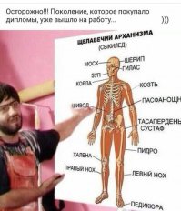 От сессии до сессии живут студенты весело. Но самое интересное наступает, когда приходит время экзаменов