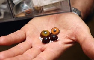 Австралийская компания, помогающая тем, кто не готов проститься с умершим питомцем