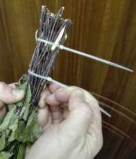 Хомутами очень удобно вязать веники