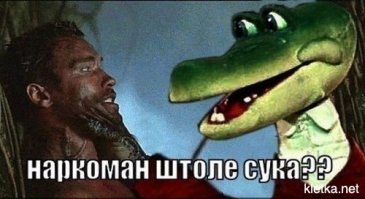 Женщины маори со священными татуировками в портретах начала 20 века