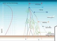 "Получается, что граница гелиопаузы меняет свое положение от интенсивности солнечного излучения? Но нам-то это каким боком?"
Совершенно верно. При возрастании солнечной активности гелиосфера раздувается согласно расчетам в 2-3 раза, точнее узнаем после получения новых данных с "Вояджеров" и "Новых горизонтов". 
К нам отношение я уже пояснил - частицы космических лучей тормозятся на участке не в 50, а в 150 а.е., напомню, что 7,2 а.е. - это световой час.
"..уменьшение радиации в районе Земли никак не произойдет. Наоборот, увеличится"
Не понял, каким образом получено это умозаключение, равно как и его смысл. Это не философия, не надо тут пытаться её разводить. Поток частиц высоких энергий регистрируется ПРИБОРНО, на межпланетных КА, на спутниках, на МКС в частности, на аппаратах зондирования Солнца, и он УМЕНЬШАЕТСЯ в периоды солнечного максимума.
"Опять же, сравните высоту полета МКС и пассажирских самолетов. Больше на 400 км."
А вот теперь смотрим, как устроены космические ливни и делаем выводы:

"Если атмосфера ни от чего не защищает..."
Просьба читать внимательнее, я написал выше, что защищает как раз атмосфера, а не магнитосфера.
Магнитосфера взаимодействует ТОЛЬКО с солнечным ветром, космические лучи высоких энергий пробивают её менее, чем за секунду:

"Я как раз вижу, что А 15 и А17 прямо в самую гущу магнитного поля прут, где наиболее высокий уровень радиации"
"Самая гуща" - на экваторе. "Аполлоны" уходили из плоскости экватора насколько можно выше, но в поясах всё равно нацепляли малость. Наибольшую дозу "привёз" "Аполлон-14" - 1.14 бэр. Данные прекрасно согласуются с таковыми, полученными при полётах советских аппаратов серий "Венера", "Марс", "Зонд", "Луна" и "Вега". На МКС за полугодовой полёт, для сравнения, получают в районе 18 бэр. Напомню, что Геннадий Иванович Падалка накрутил 878 дней за 5 полётов - это примерно 90 бэр.
Жив-здоров, и Сергей Константинович Крикалёв со своими 80 с лишним бэр за 803 дня - тоже не хворает.
"Может я что-то не понимаю?"
Я бы предположил, что "не то читаю". Ламеров каких-то желтушных вместо научной литературы.