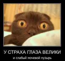 Дотрагивайся на свой страх и риск! Большая акула атаковала посетителя в музее шпионажа