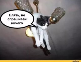 До свадьбы зажило. Фельдшер — об онкобольных, которые боятся узнать о своём раке