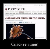 Экологи бьют тревогу...