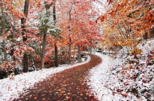 Пожалуйста...