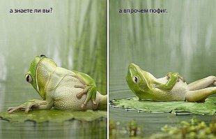10 по-настоящему интересных фактов, которые вы могли не знать