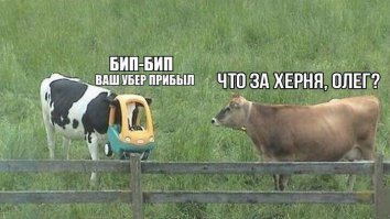 Очередная порция картинок с подписями