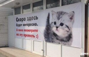 Мастера объявлений, занятые своим любимым делом