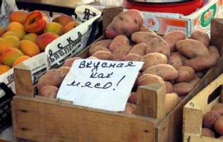 Мастера объявлений, занятые своим любимым делом