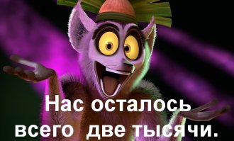 20 душераздирающих фотографий диких животных, пострадавших от рук браконьеров