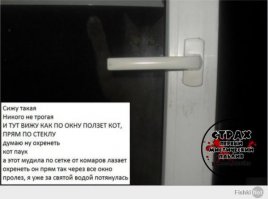 Очередная порция картинок с подписями