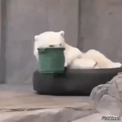 Очередная порция картинок с подписями