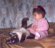 и котами