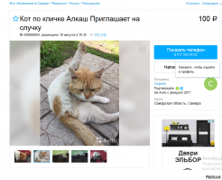 Самые странные объявления с Avito, которые поднимут вам настроение