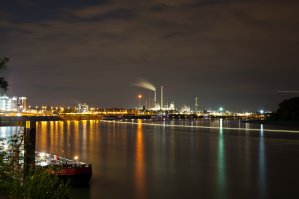 Фотоподборка за 30.10.2017