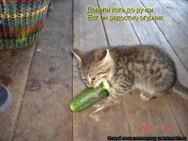 Ппц как страшно!