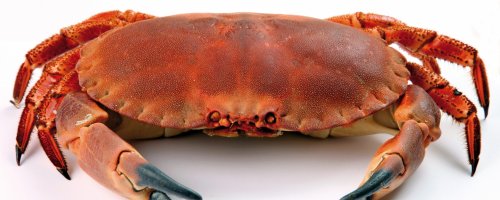 Чёт я не понял, кто из вас тут умнее...