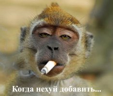 Мама Стифлера о меркантильности