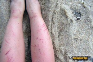 Петля на обуви. Для чего же она нужна на самом деле?