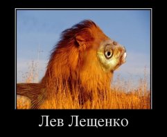 Скиталец на МКАД получил по шее