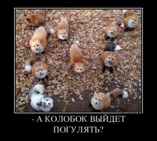 Из одной фотки давно уже дем сделали