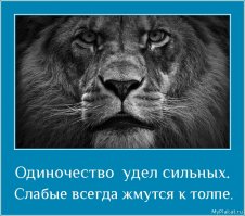 Сам себе вселенная