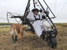 Более подходящее фото виновника! :)