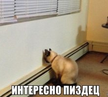 Принцесса Иордании: девушка, о которой скоро заговорит весь мир