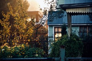 Внесу свои пять "копеек", из последних сфотографированных.