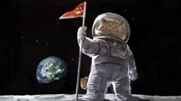 Помощник пожарных кот Микки носил каску и умел скатываться по шесту