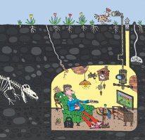 5) Под остановкой бункер.