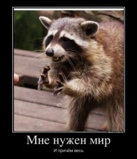 Попытка потеснить котиков))