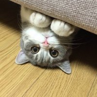 Давай играть.