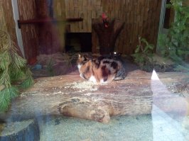 Зоопарк. Санкт-Петербург.