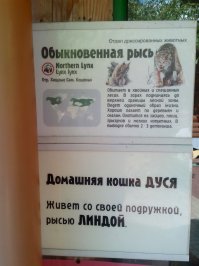 Зоопарк. Санкт-Петербург.