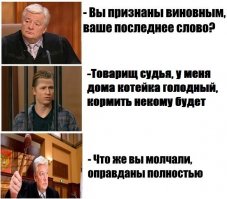 Россиянин незаконно проник в Швецию, чтобы забрать своего кота