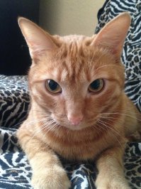 Фотоподборка за 30.10.2017