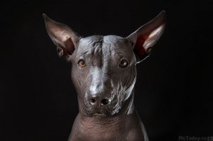 Новое приложение, позволяющее увидеть знаменитостей без макияжа