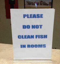 80-е годы. Лето. Жара. Плацкартный вагон поезда "Владикавказ-Москва". Остановка в Ростове-на-Дону. Пассажиры высыпают на перрон и покупают у бабулек холодное пиво и вяленую рыбу, аж прозрачную от жира...
До самой Москвы лучше не прикасаться ни к чему, ни к перилам, ни к столику, ни к стенкам, ни к ручкам. ВСЁ (!) воняет рыбьим жиром! 
Самое интересное, что на обратном пути точно так же народ затаривался рыбой, но никто её в поезде не ел - везли домой, побаловать родных. :)