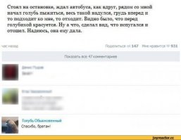 Смешные комментарии из социальных сетей