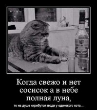 Мяу!!! С надписями!