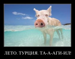 В Турции предложили отменить систему all inclusive