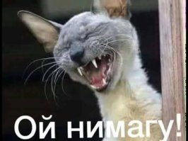 Мышца, которая есть только у 15% населения планеты