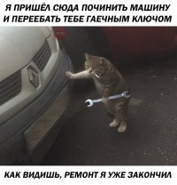Мяу!!! С надписями!
