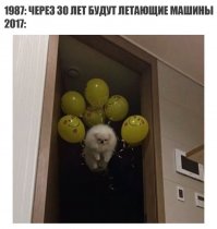 Мяу!!! С надписями!