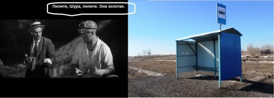 Новость о новосибирской остановке за 500 тысяч рублей попала в американские СМИ