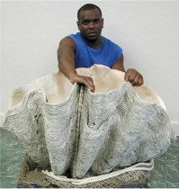 Первый раз вижу такого маленького негра - размером с ракушку!