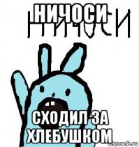 В Китае обезумевший буйвол разгромил супермаркет и  ранил шестерых посетителей